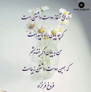 Meet your Posher, Farzam